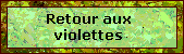 retour_violettes.gif (6909 octets)